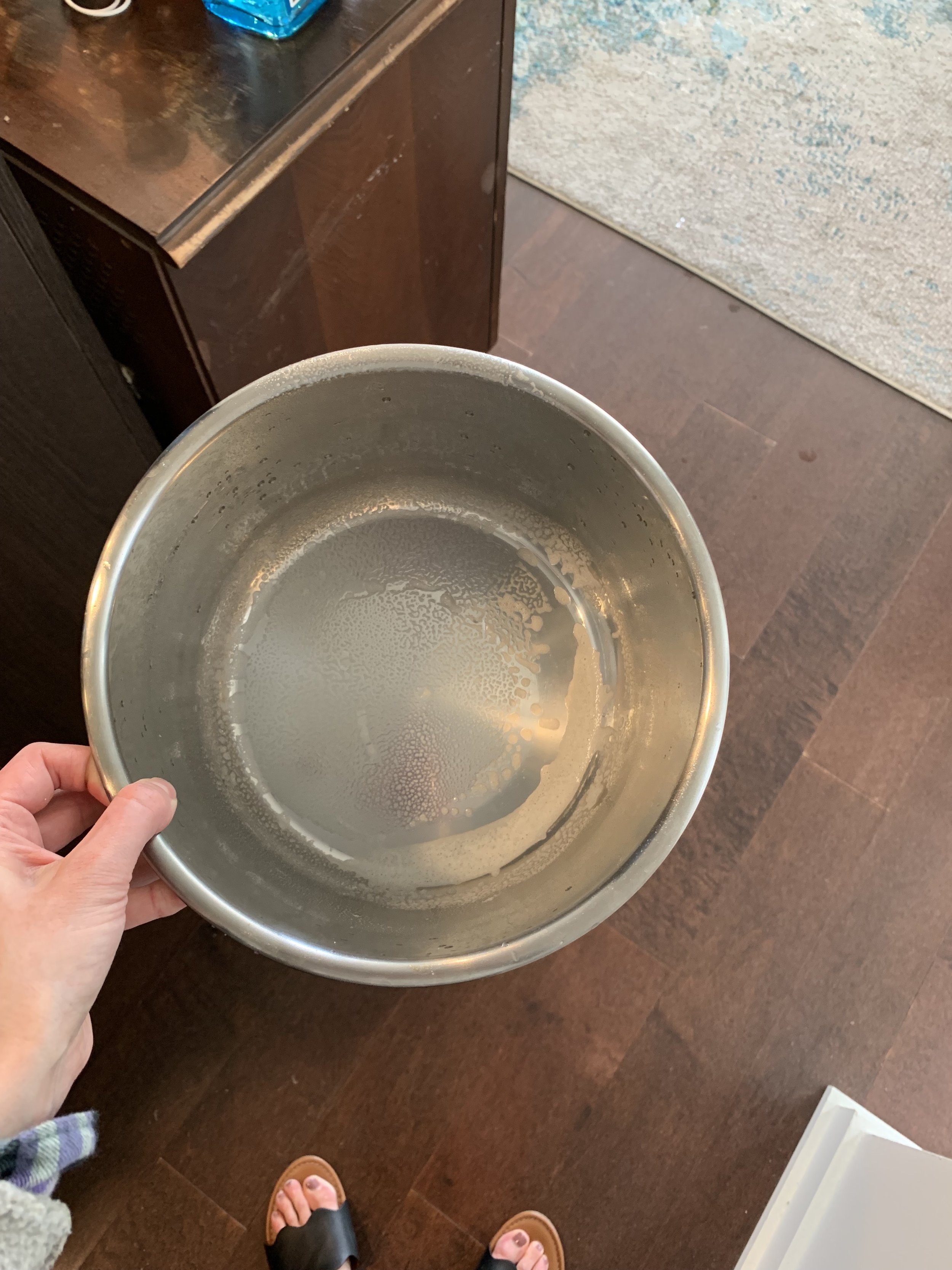 Instant Pot Spray Pot with Oil Spray