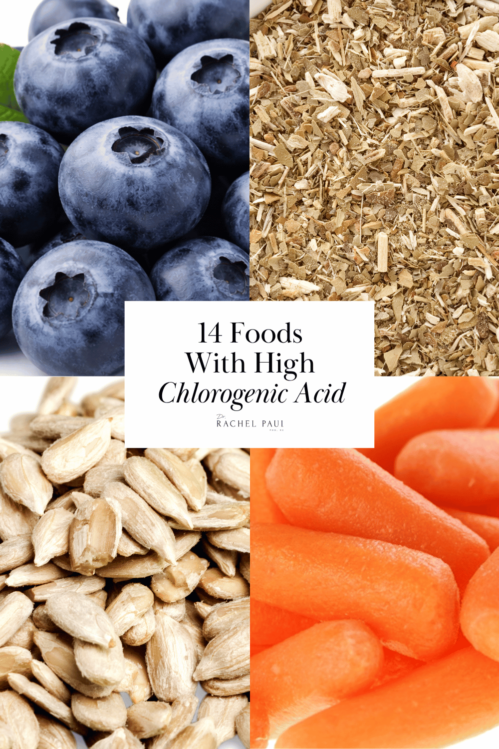 14 Foods With High Chlorogenic Acid